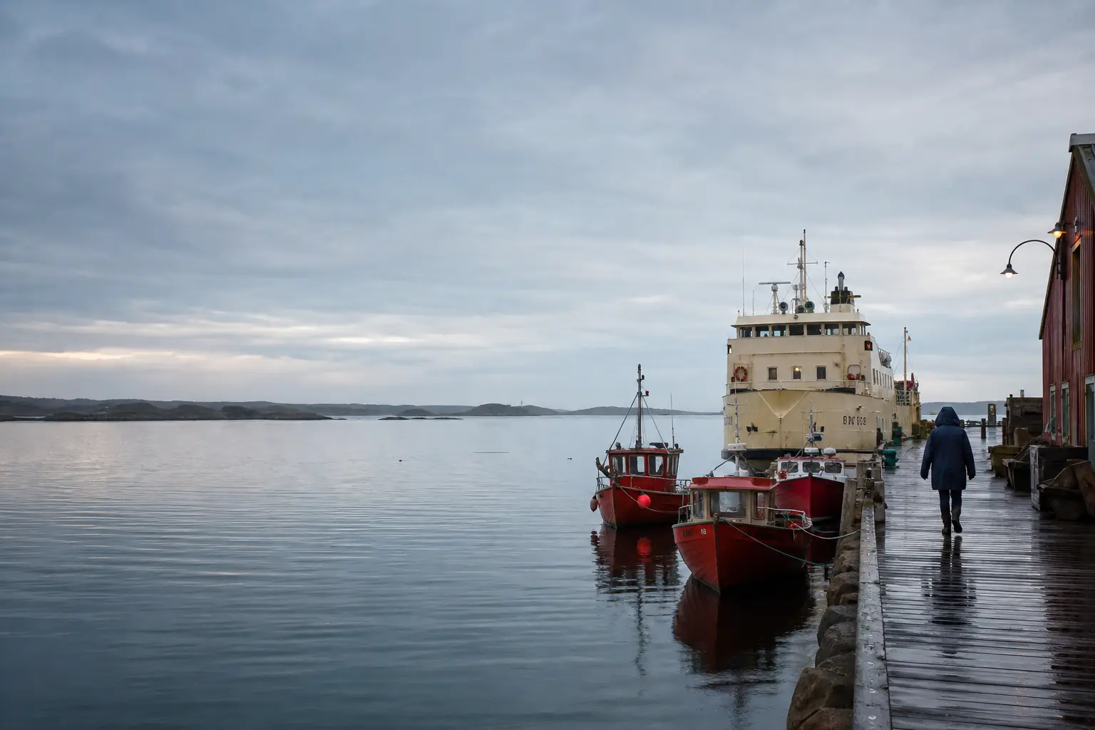 A small passenger ferry and fishing boats at a rainy dawn harbor